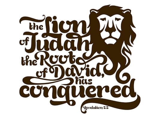 estampa camiseta evangélica The Lion of Judah the root of David has conquered