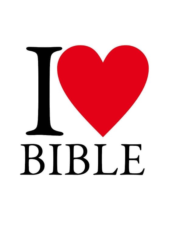 estampa camiseta evangélica I love Bible