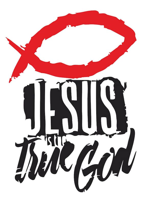 estampa camiseta evangélica Jesus is the true God